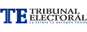 Tribunal Electoral usa FluyApp para gestión de filas